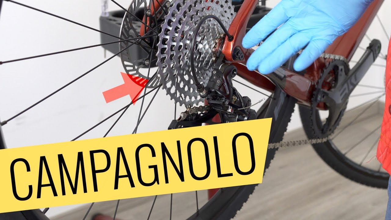 Campagnolo EKAR 13-fach Schaltung einstellen - einfach & schnell - Fahrrad.org