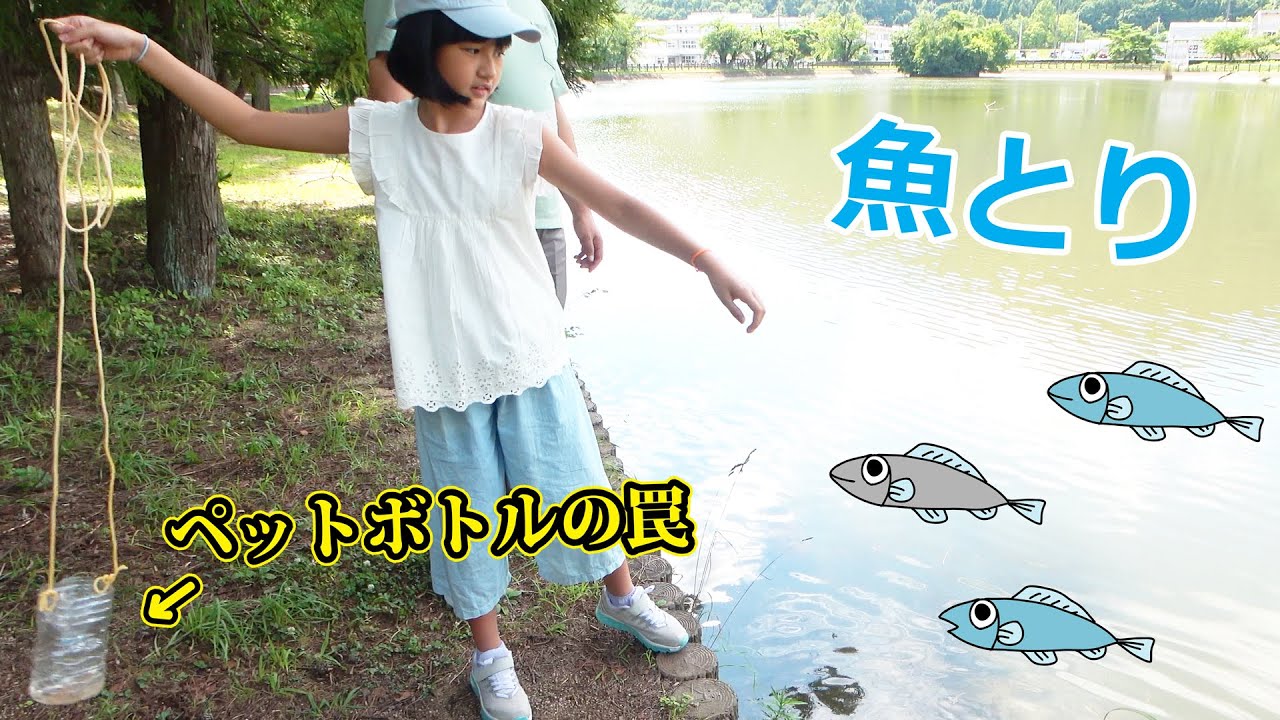 ペットボトルの罠を作って魚とりしよう！たくさん採れるかな？himawari-CH