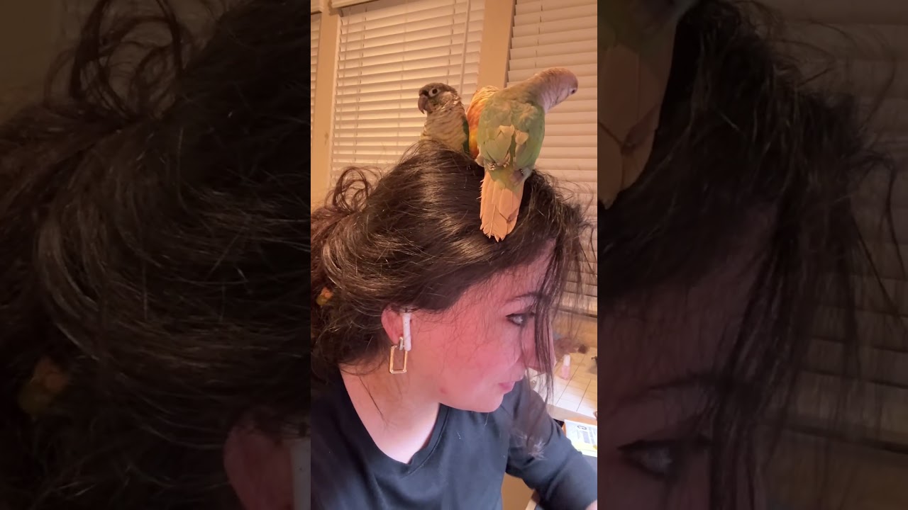 My babies think i m nest 