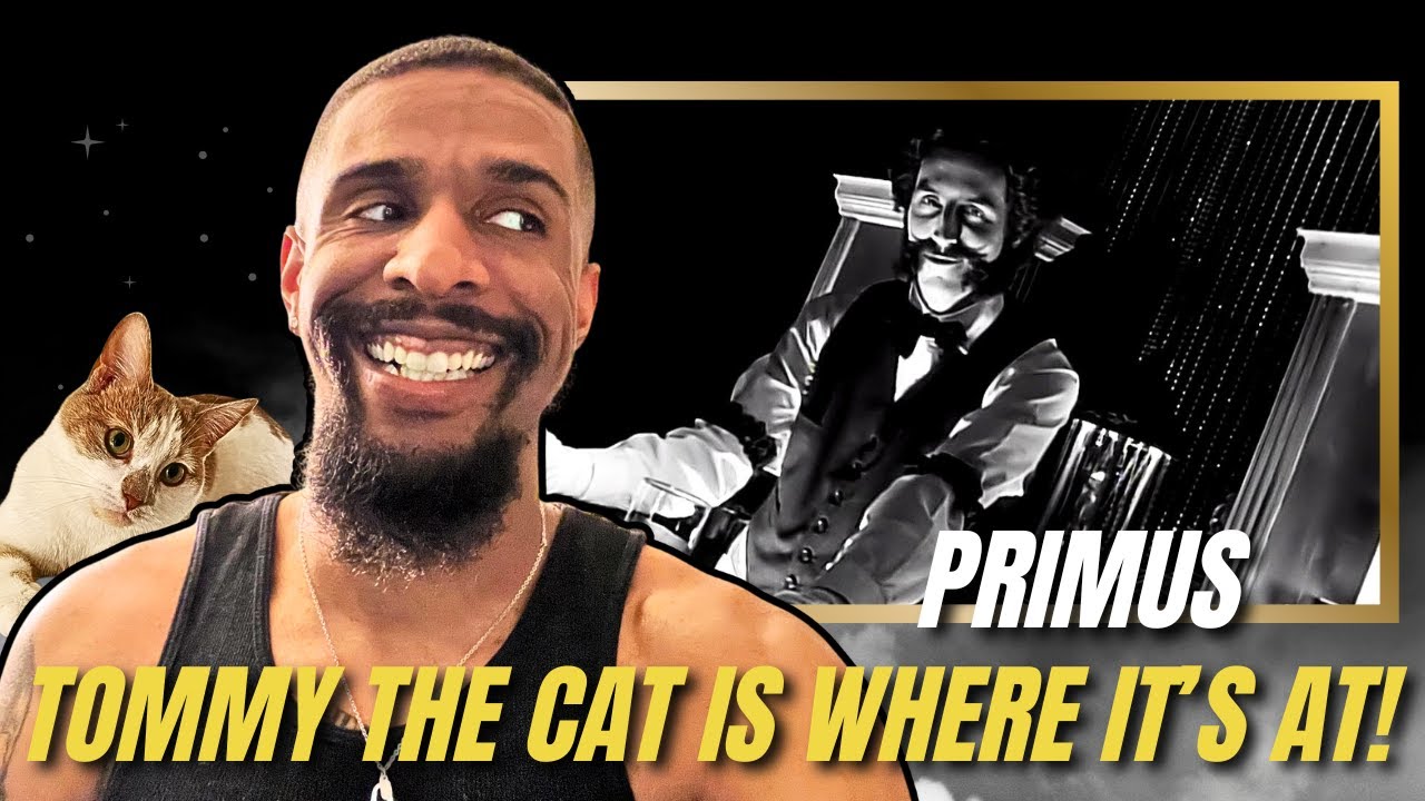 Audio Engineer First Time Hearing | Primus - Tommy The Cat (REACTION)