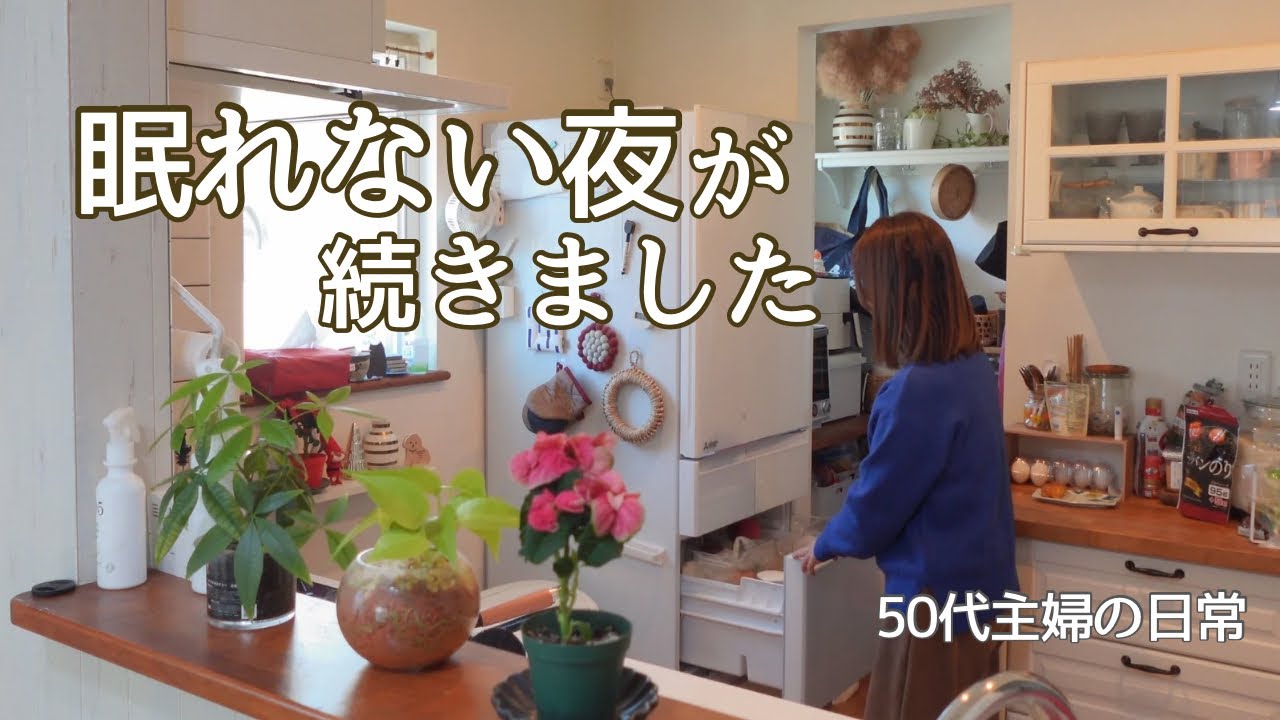 まさかの連日トラブルで眠れなかった日々 / 犬のいる暮らし / 3coins購入品 / 50代主婦の日常 / 暮しのvlog