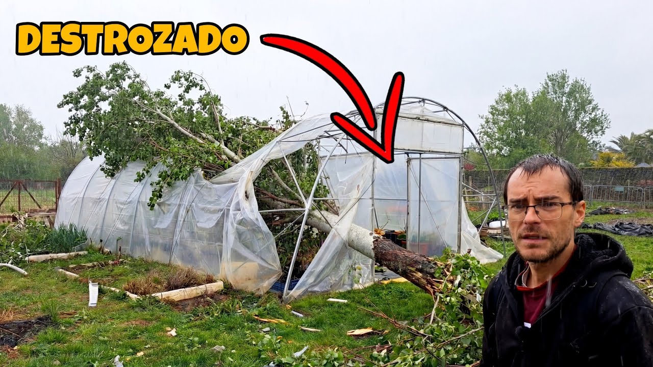 Así ha quedado mi parcela tras los destrozos de la tormenta.