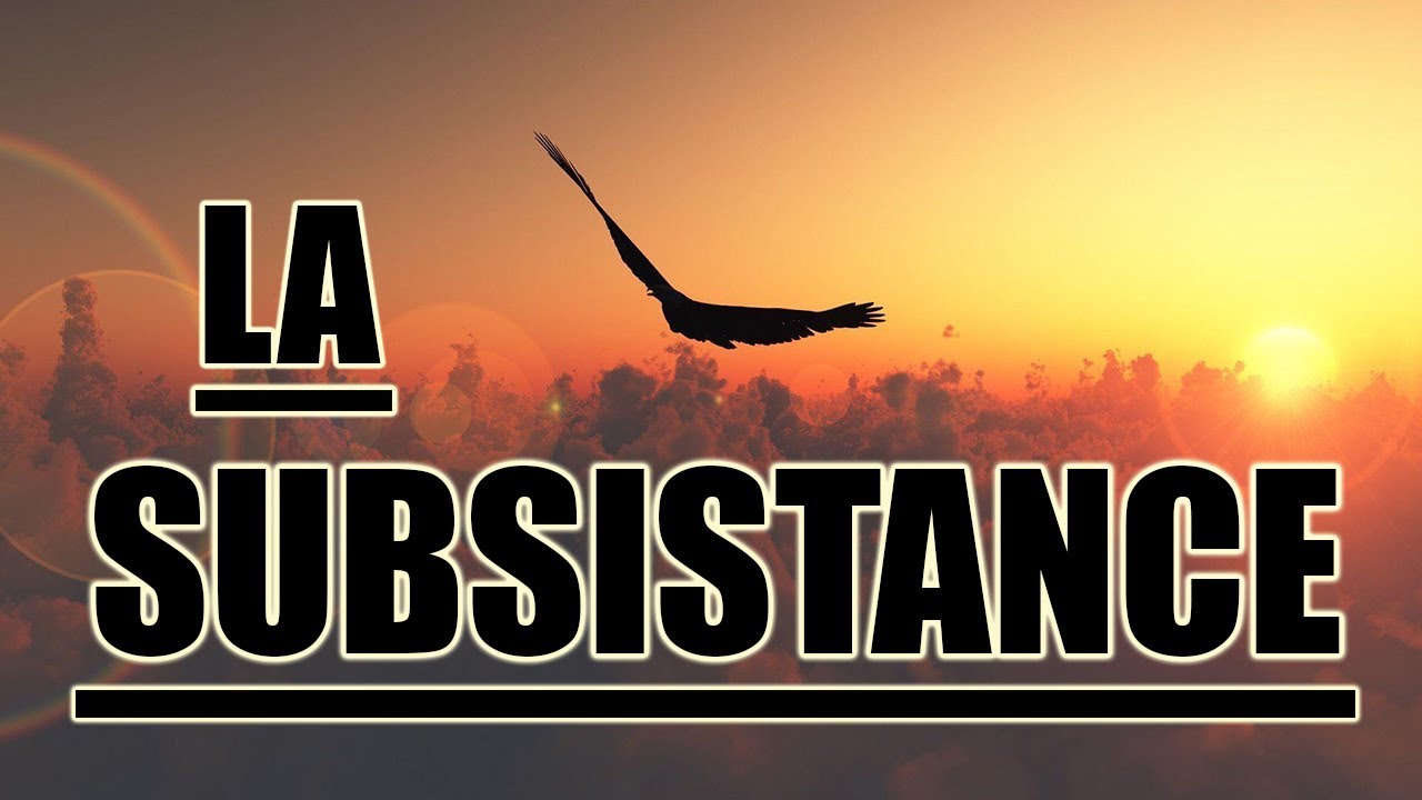 LA SUBSISTANCE [ ISLAM ]