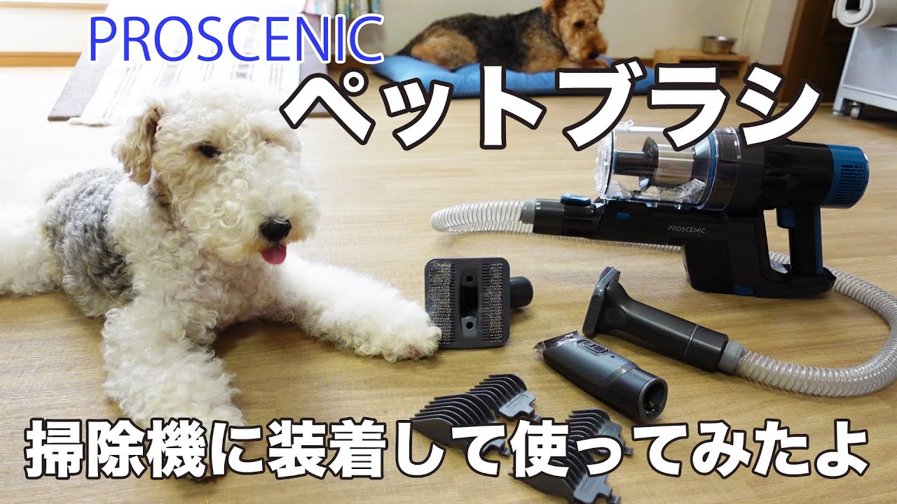 掃除機に装着出来るペットブラシがセルフトリミングする自分には最高でした【Proscenic Pet Grooming Kit】