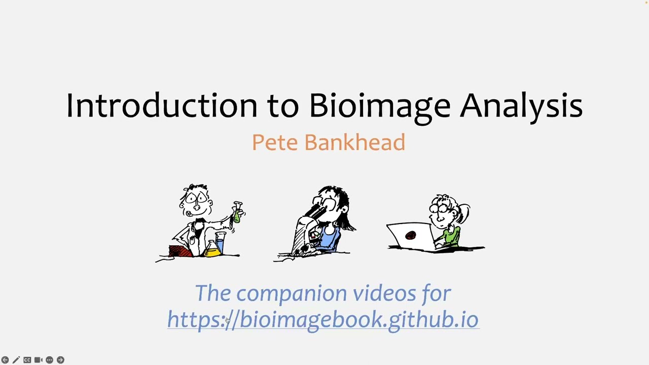 0 - Overview of 'Introduction to Bioimage Analysis'