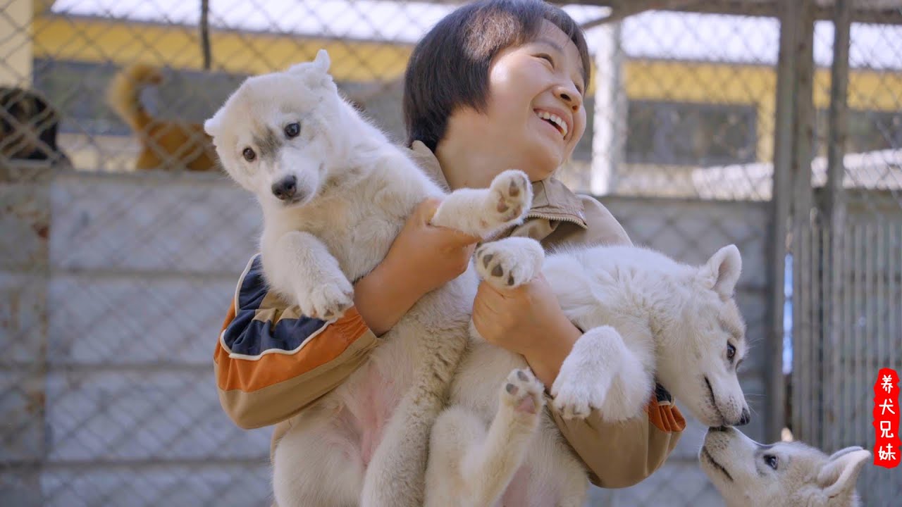 狗狗乐园烟火纪事，从铲屎到涮菜的惬意日子\This is the life in the dog park, where we are doing our favorite jobs