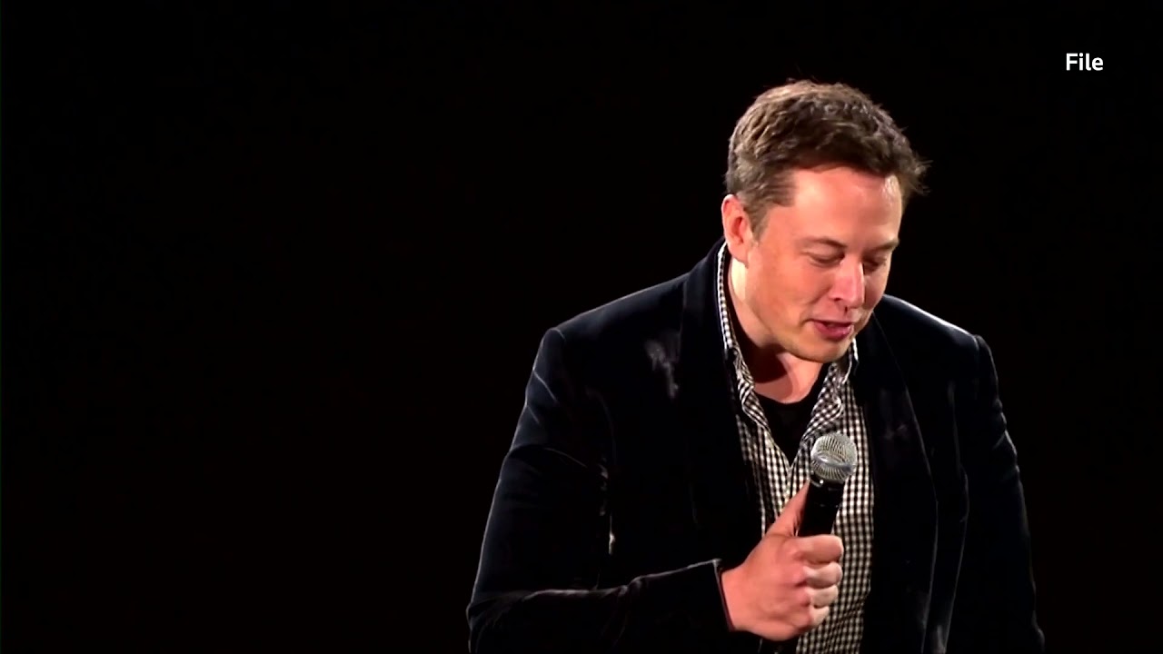 &lsquo;Do you want Tesla to accept Doge?&rsquo; Elon Musk asks Twitter users