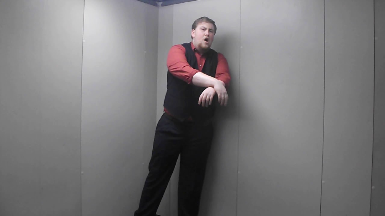 Platform Lamb  Speech