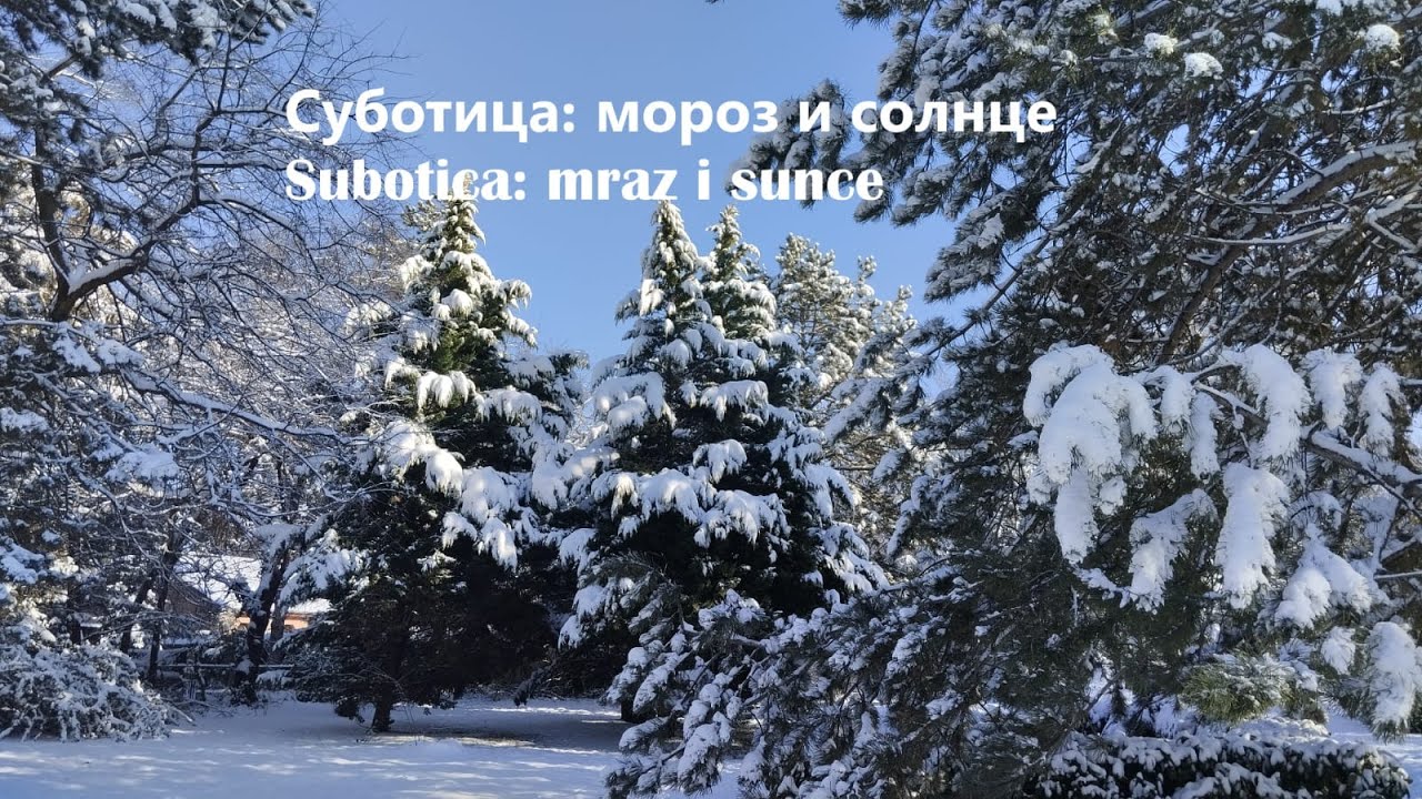 Мороз и солнце _ Mraz i sunce