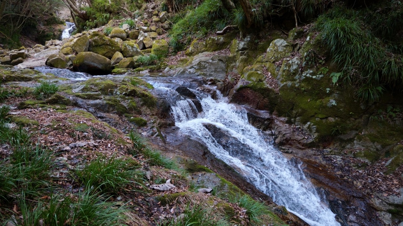 2026.02  花貫渓谷・乙女滝と不動滝 (Otome-daki & Fudo-daki falls in Hananuki Keikoku ravine, Ibaraki, JPN)