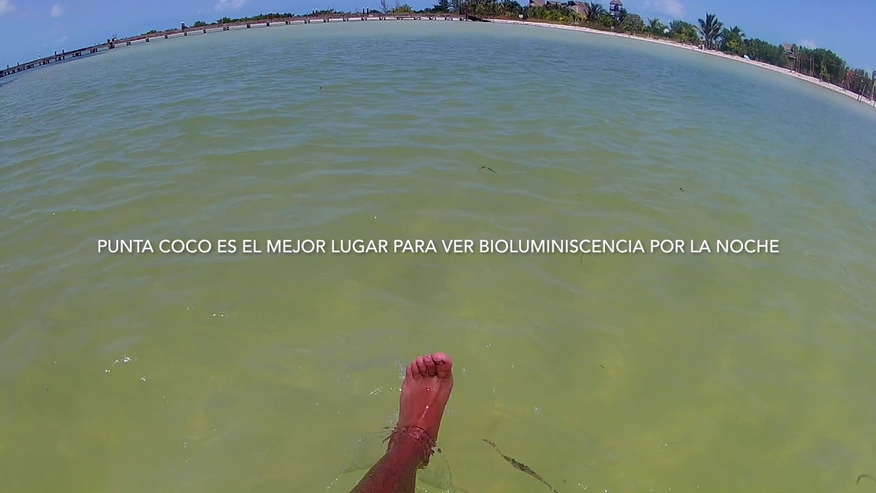 Holbox Mexico Punta Cocos