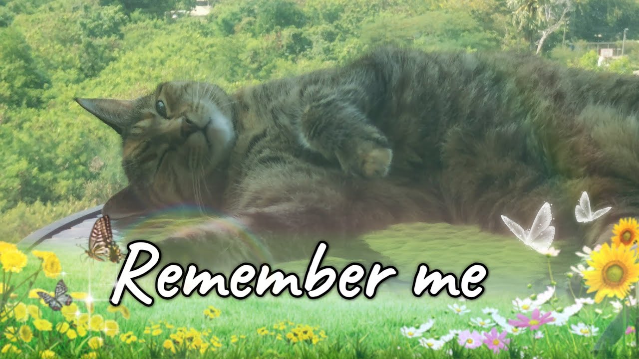 EP.4 Remember me 🤍