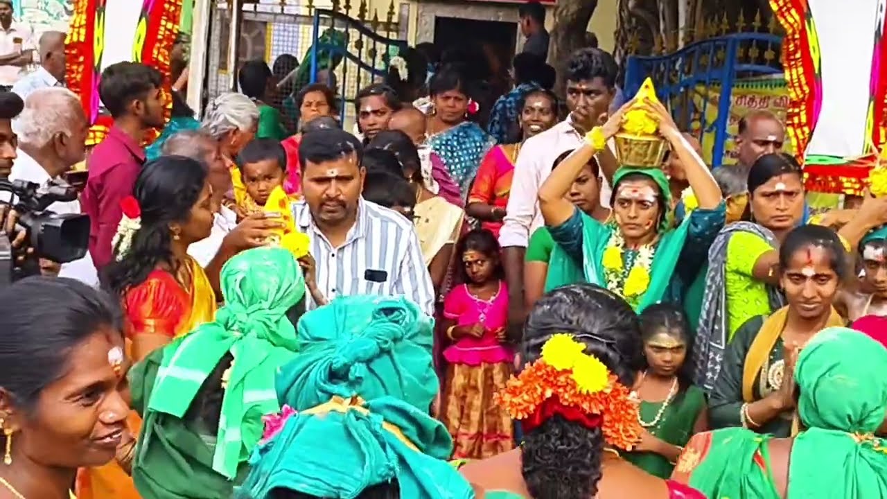 🔻தென்காசி, சங்கரன்கோவில் அருகே நடுவகுறிச்சி ஸ்ரீ சேவகாரன் கம் அடிச்சி அம்மன் கருப்பசாமி கொடை விழா...