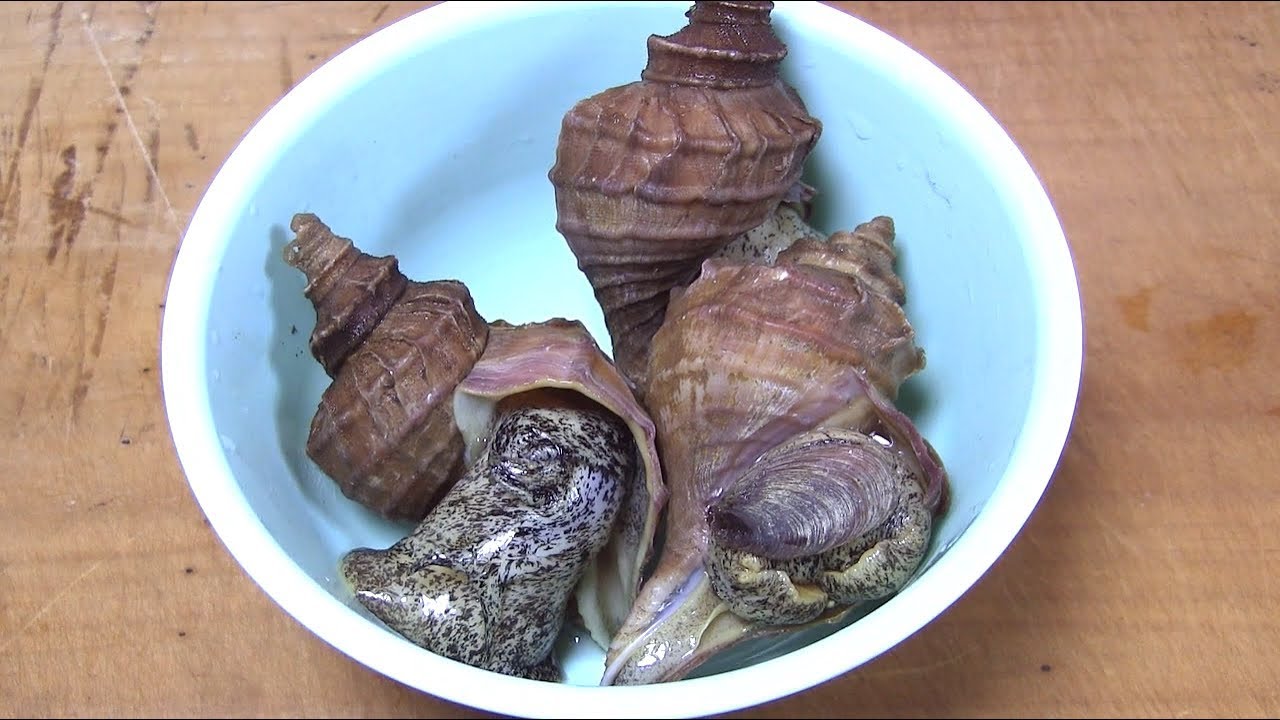 つぶ貝のさばき方～握り　寿司職人の仕込み　how to clean a whelk and make sushi