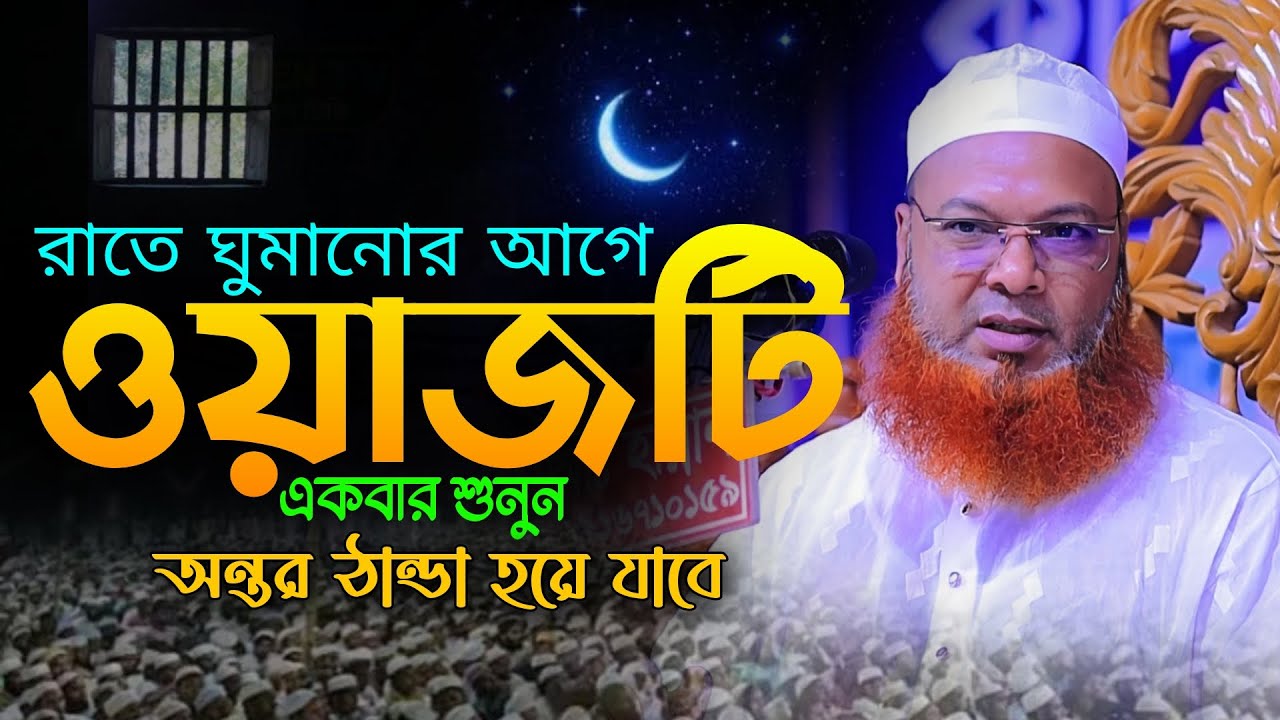 যে কন্ঠে পাগল লাখো কোটি জনতা | আব্দুল বাসেত খান সিরাজী ওয়াজ ২০২৪ | Abdul Basit Khan Waz 2024 | Waz