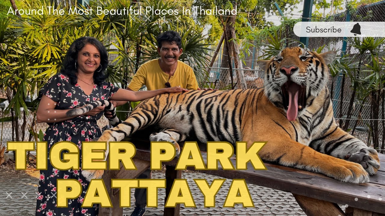 Tiger Park Pattaya | Thailand Travel Series |