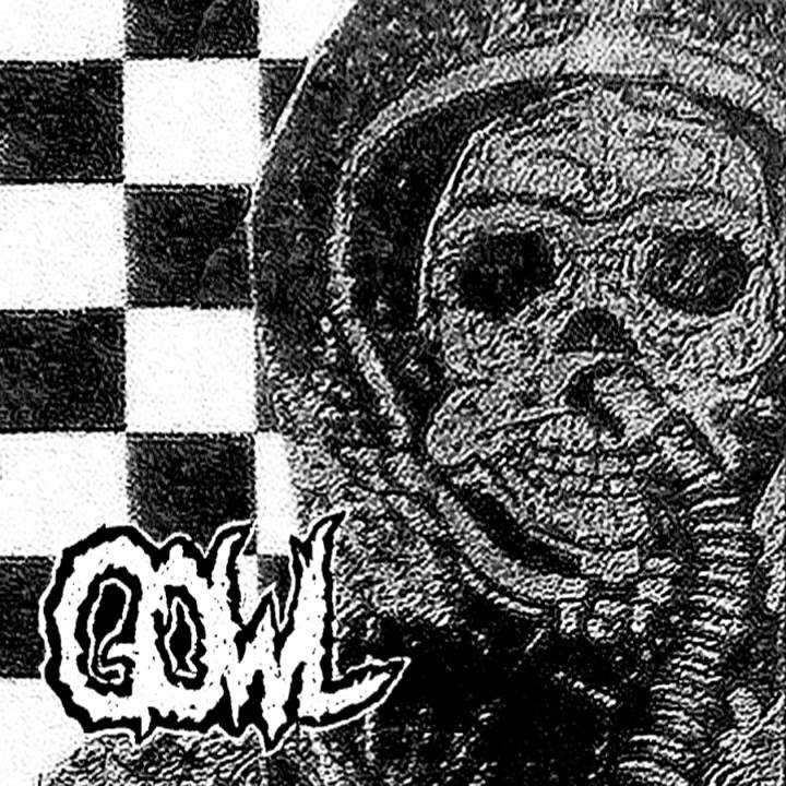 Gowl - Raging Like a Heart​/​/​Attack CS [2013]