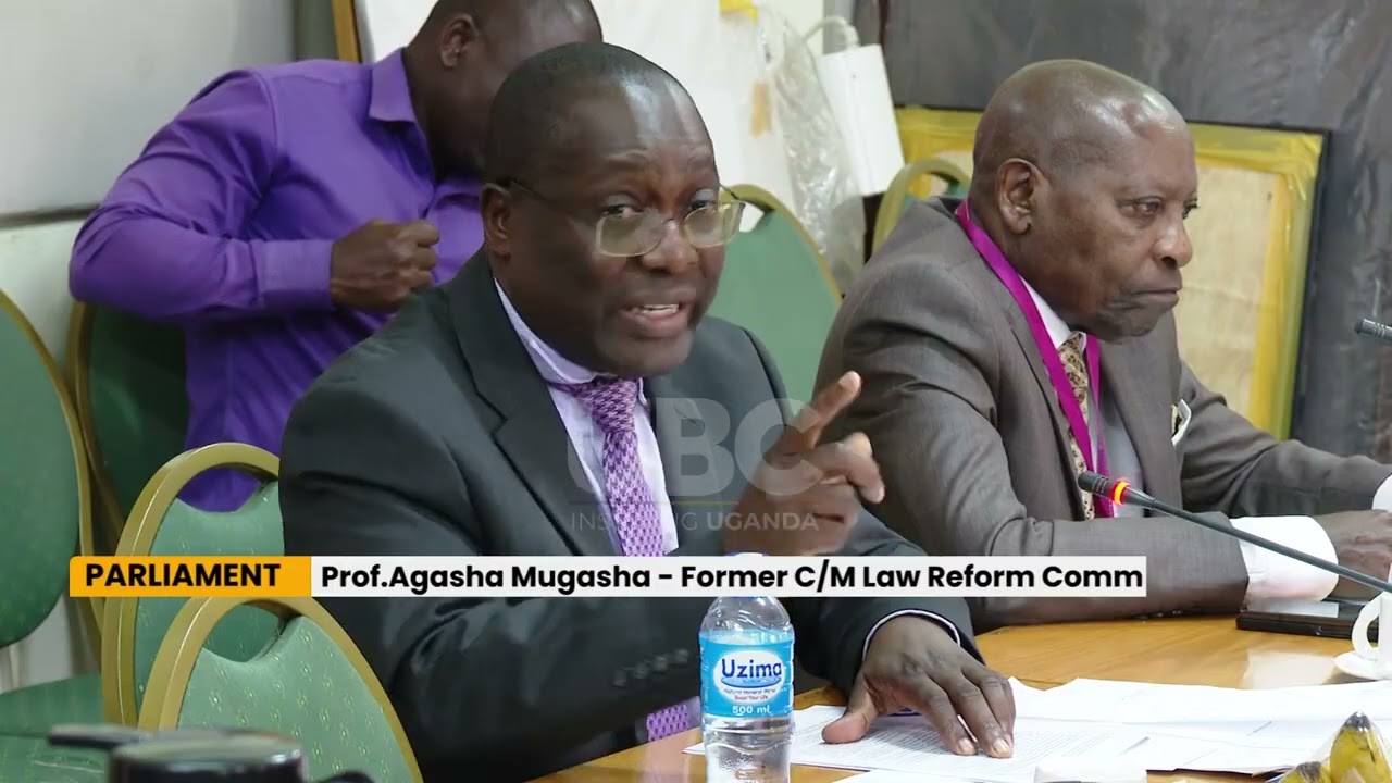 PROFESSORS URGE PARLIAMENTARY COMMITTEE TO MAINTAIN LAW REFORM COMMISSION