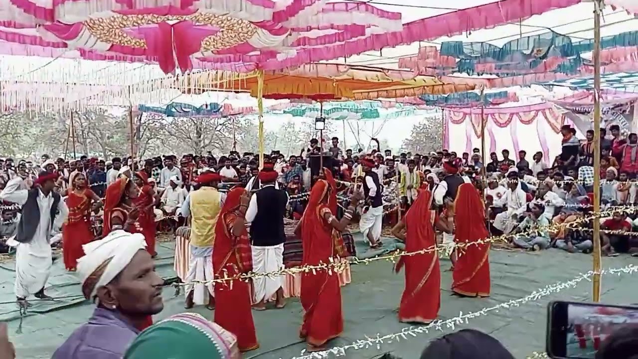 आदिवासी गदली ससुने//आदिवासी वीडियो//आदिवासी गदली  ससुने गोगरा//  adivasi gadli susun