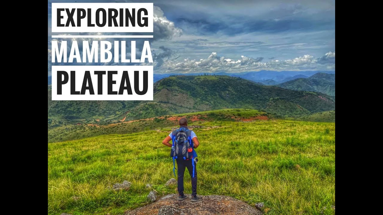 Exploring Mambilla Plateau 🇳🇬