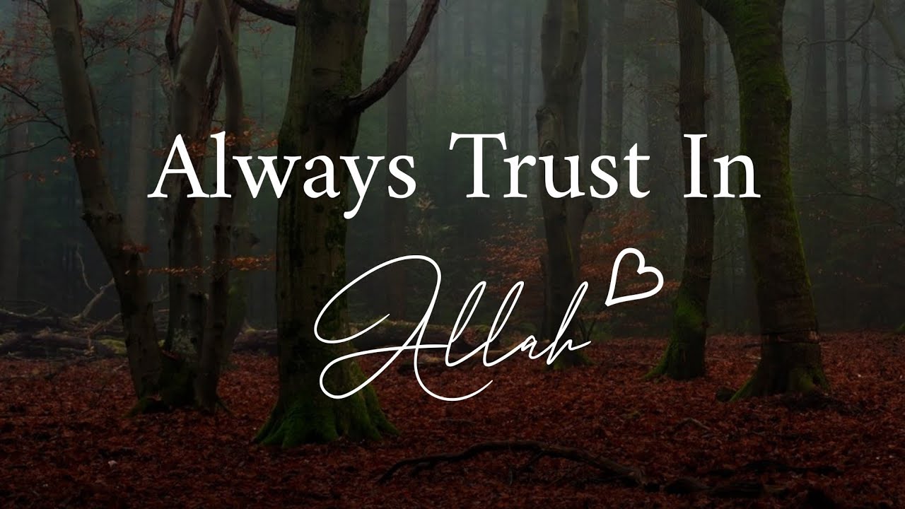 Don't worry always trust in Allah ❤️ beutiful Islamic Nasheed Status#thepious #islamicstatus
