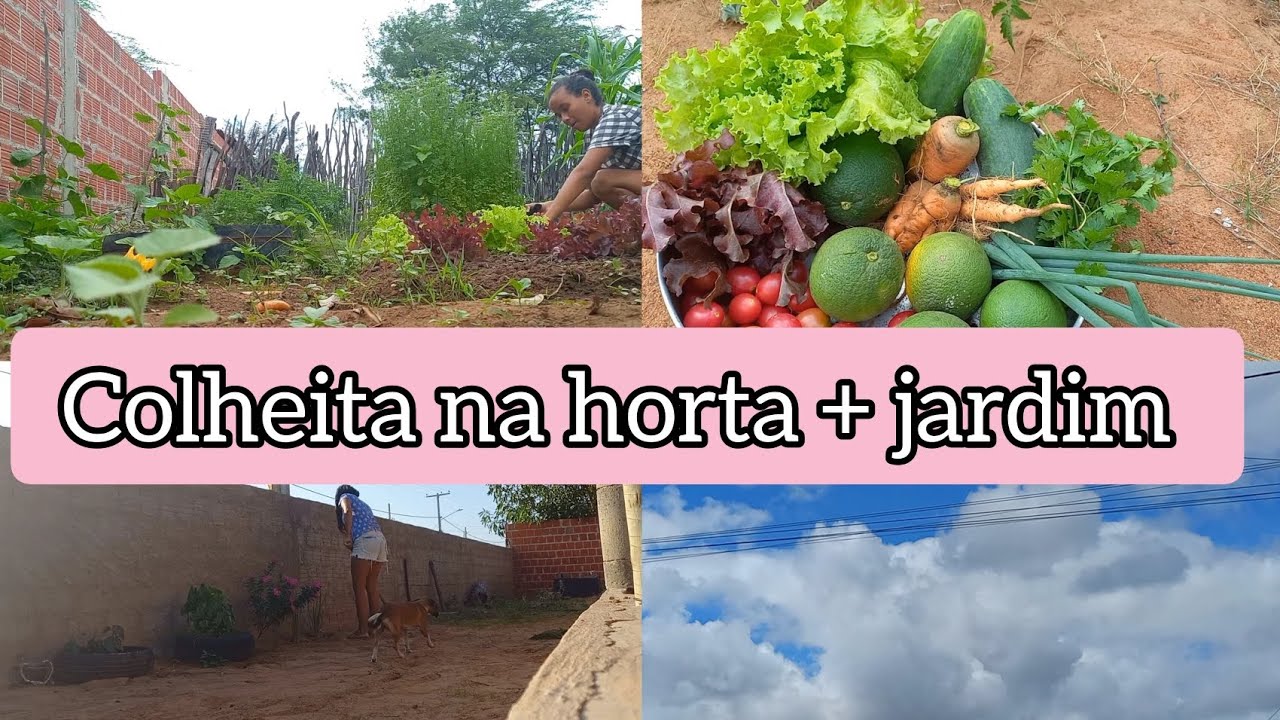 Colhi muita coisa na horta + limpeza no quintal + um dia lindo / Lilith Silva
