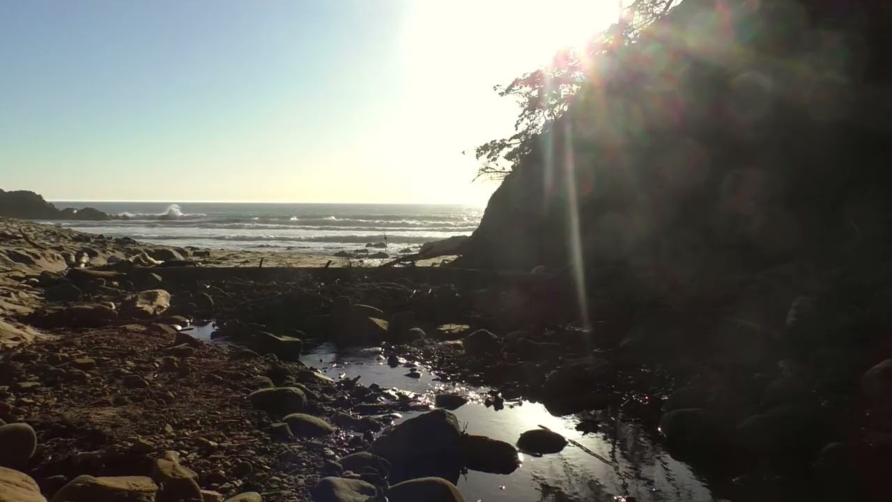 Guided Meditation: Slowing Down and Tuning into Nature's Rhythm