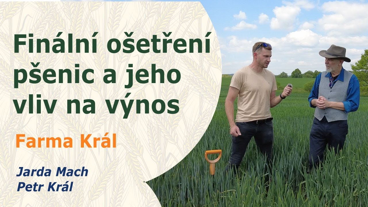 Finální ošetření pšenic 🌾 Maximum z porostu s ENERGEN Aktivátor PLUS | Petr Král a Jarda Mach