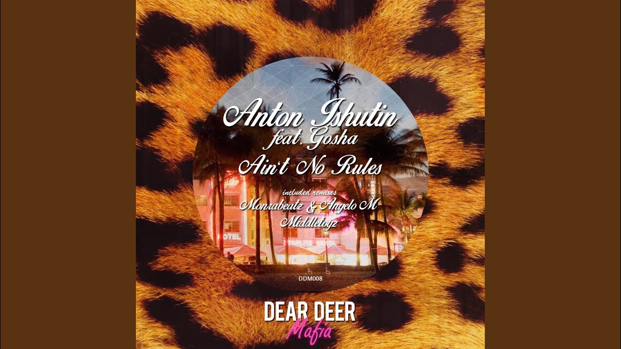 Ain't No Rules (Middletoyz Remix)