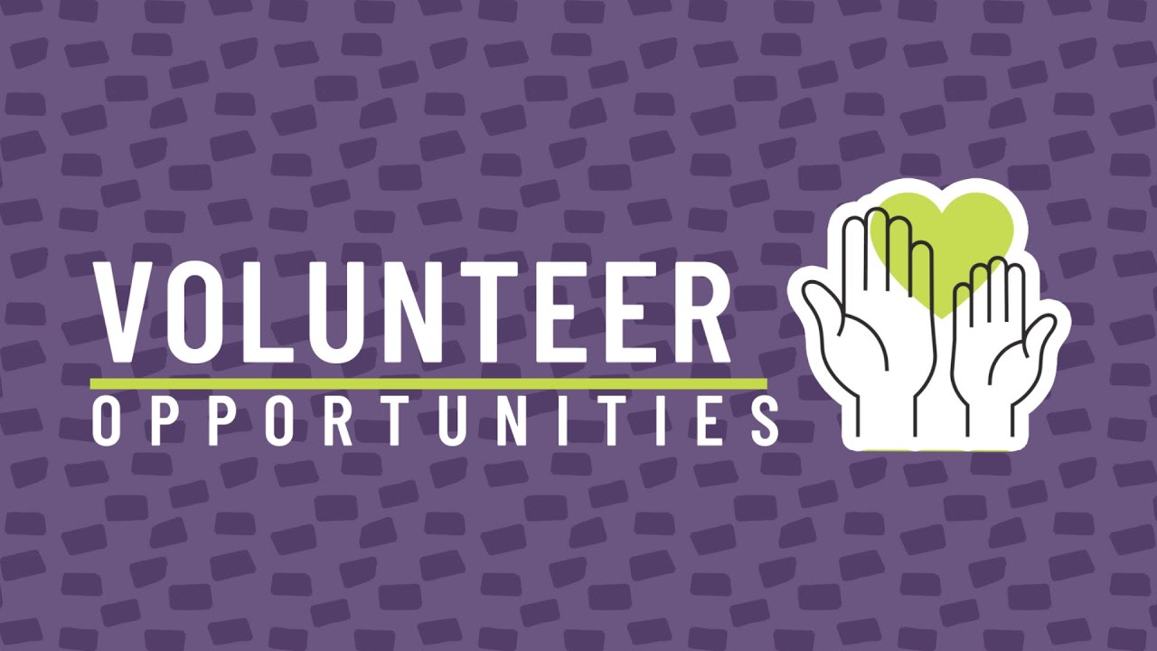 Volunteer with Youth Without Shelter