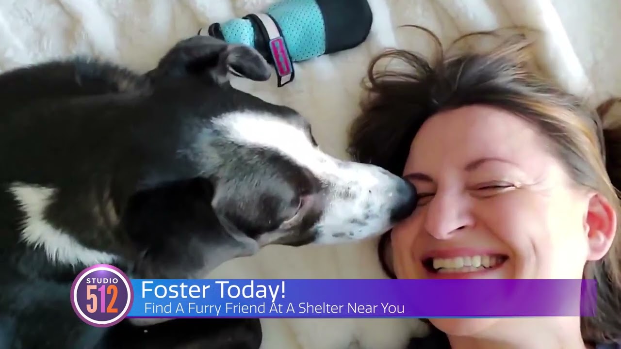 Finding A Forever Home