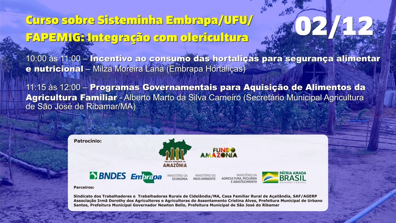 Curso - Sisteminha Embrapa/UFU/FAPEMIG: Integração com olericultura - Parte 2