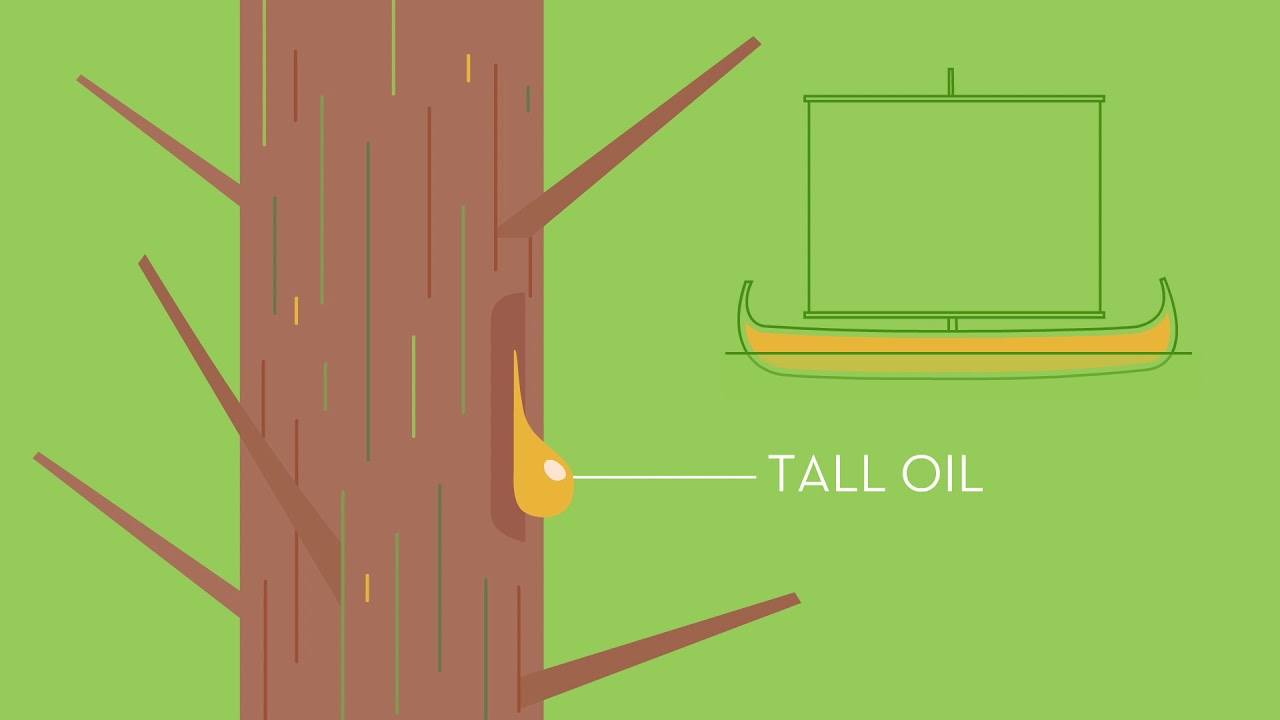 Crude Tall Oil Refining  - Kraton Corporation TOFA
