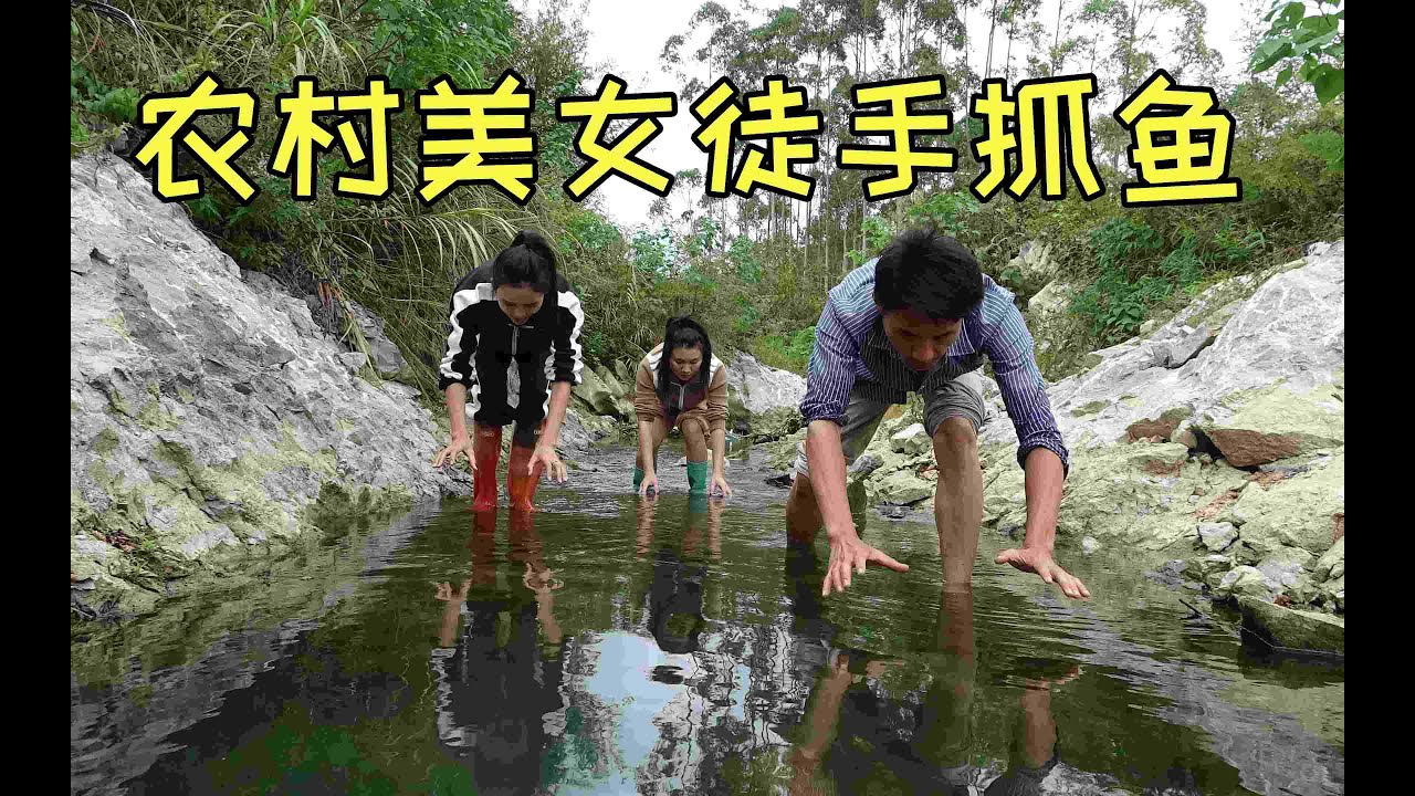 农村美女徒手抓鱼比赛，一个比一个牛，太厉害了【壮乡小莫】