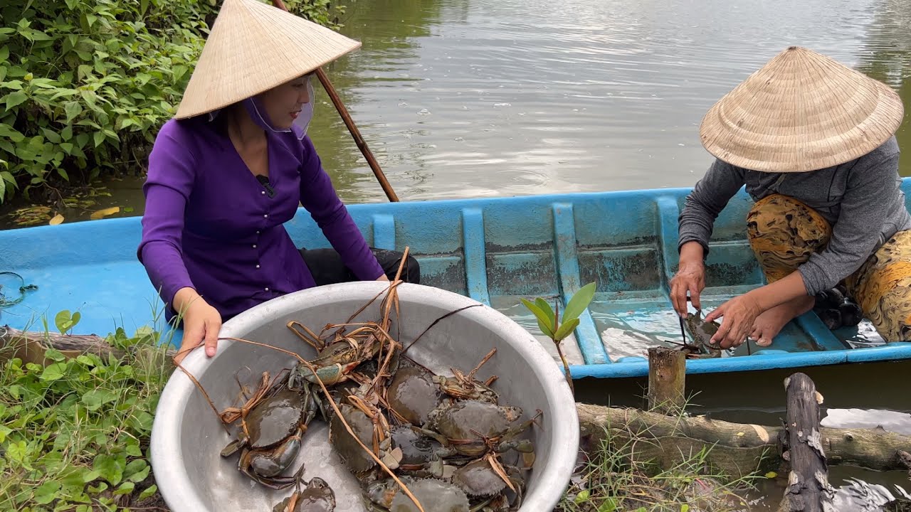 SAU CƠN MƯA THĂM BẪY CUA KHÔNG NGỜ DÍNH TOÀN HÀNG KHỦNG CUA GẠCH LUỘC NƯỚC DỪA | Thôn Nữ Cà Mau