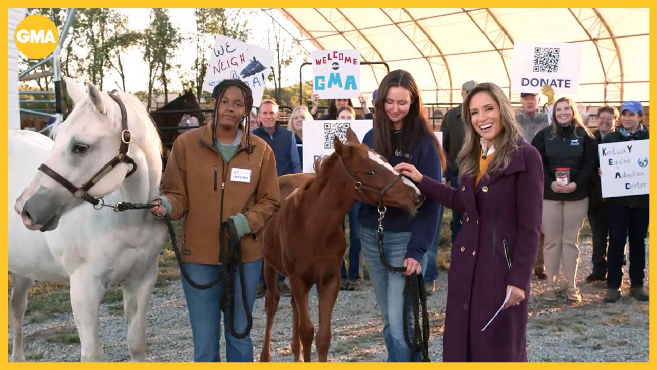 '50 States in 50 Weeks' heads to Kentucky