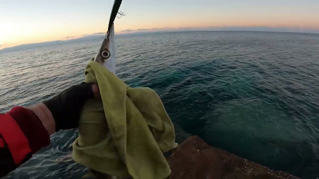 BARAKÜDA..AKSİYONLAR SAHTELER BU VİDEODA.BALIĞIN VURUŞ ANI.BARACUDA FISHING.LURE ACTİON LİVE STRIKE