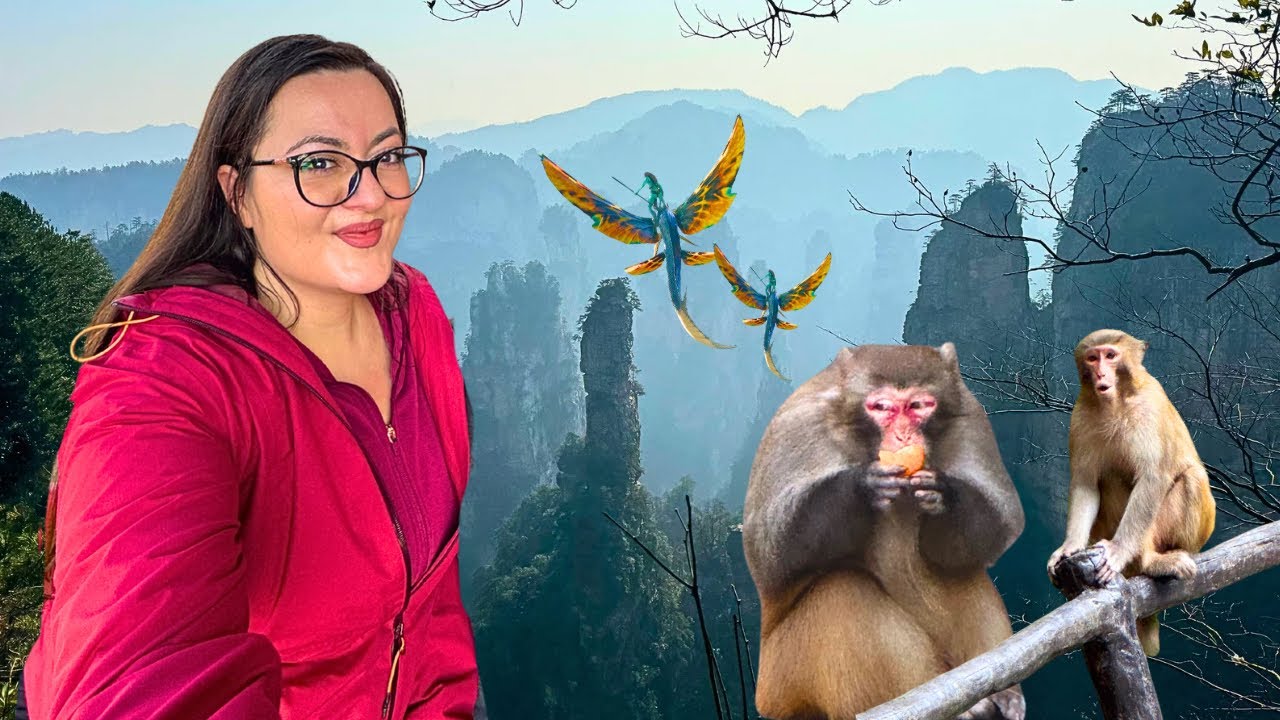 Cine a castigat CONCURSUL de TIPAT de la Muntii Avatar? (Zhangjiajie, China)