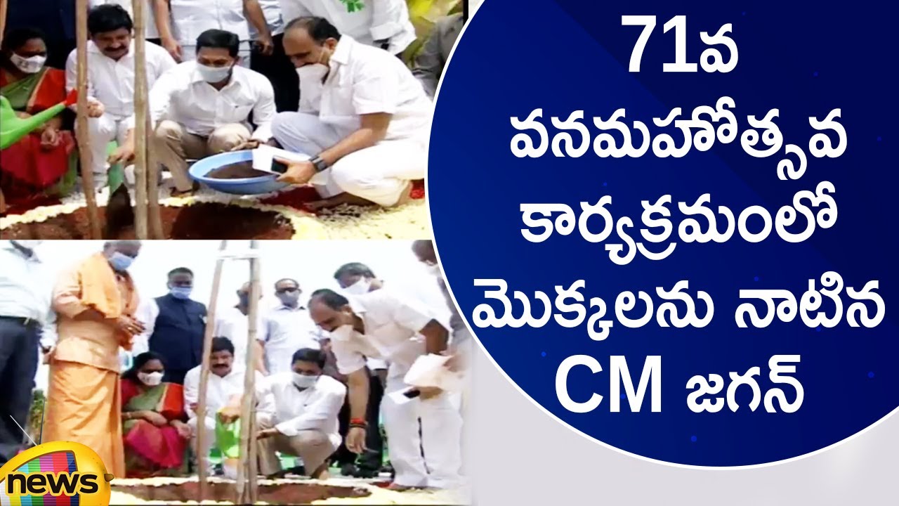 CM YS Jagan Planting Saplings In 71st Vanamahotsavam Programme | AP Latest Updates | Mango News