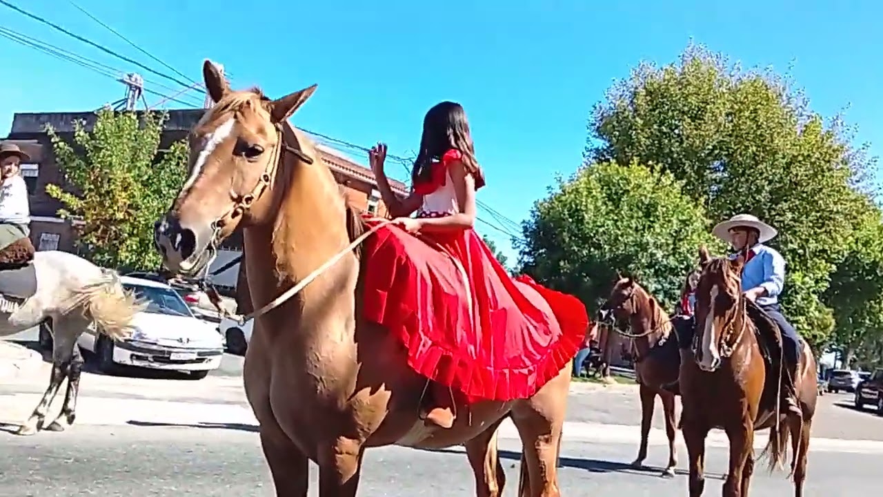 Criolla. de Águila.  San José  15.3.2026