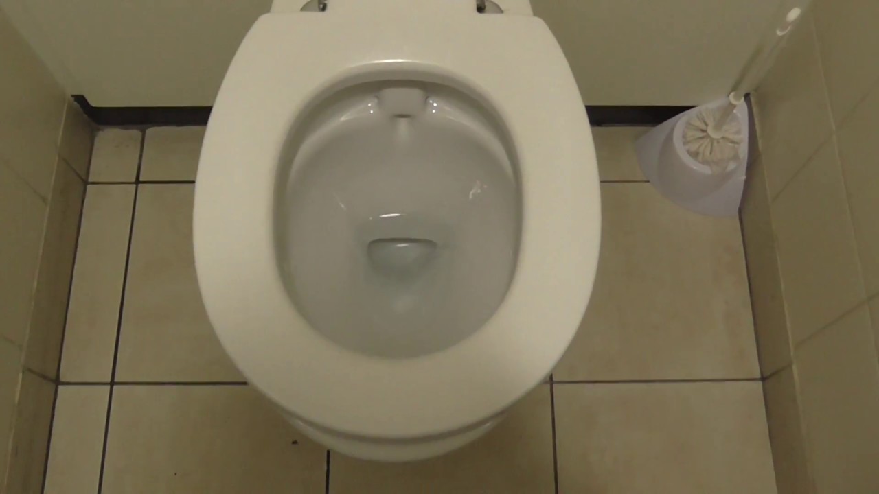 SF A.S Contour MLBI @14:38, Dobbies Garden Centre (Newcastle, Tyne & Wear, UK)