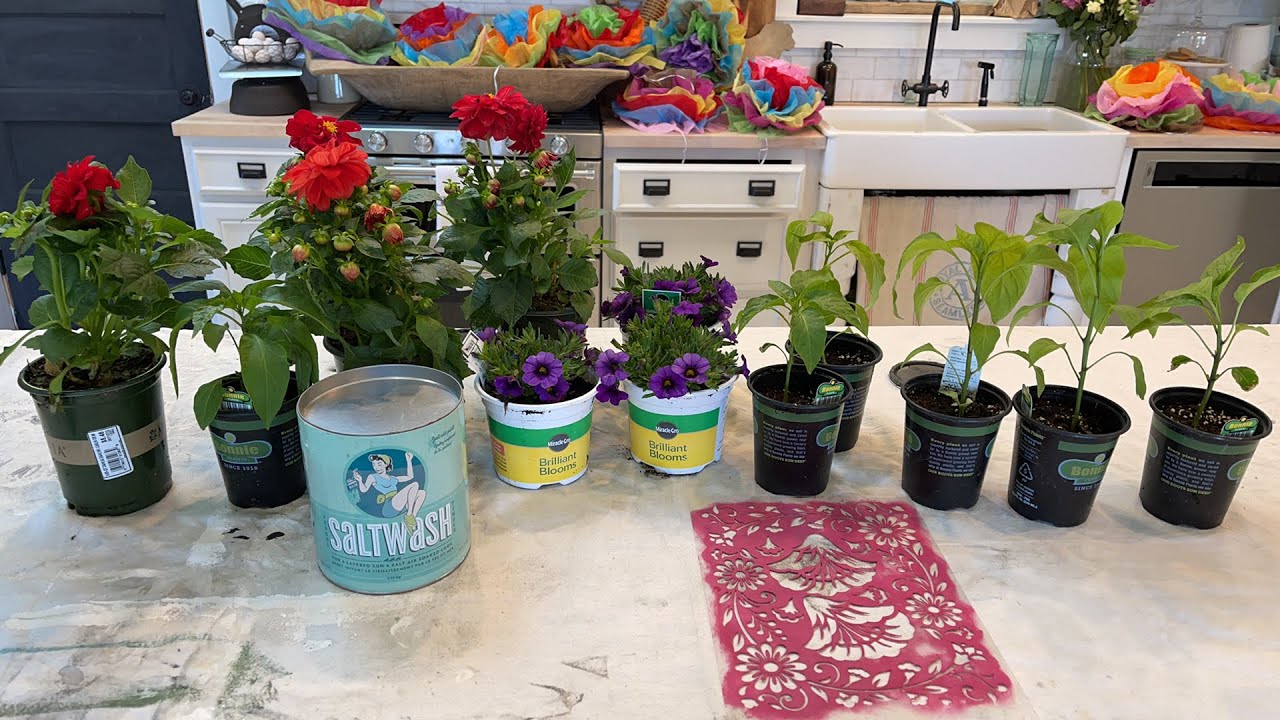DIY Paint Can Planter Waste Not Wednesday