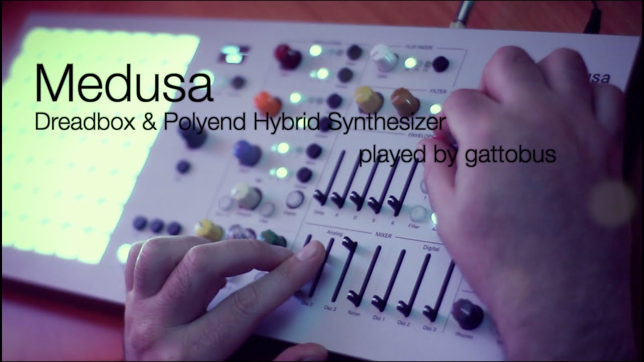 Dreadbox & Polyend Medusa - Played by GATTOBUS