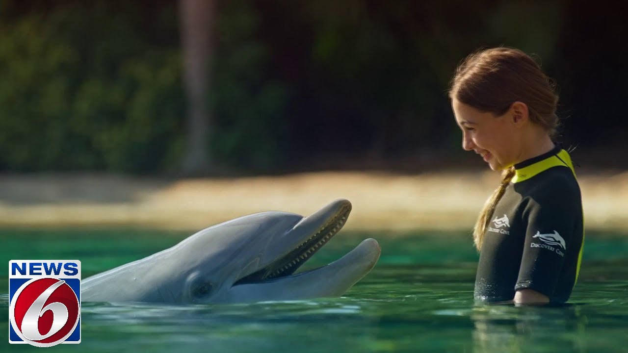 In the Loop: Discovery Cove offers all-new Ultimate VIP Experience