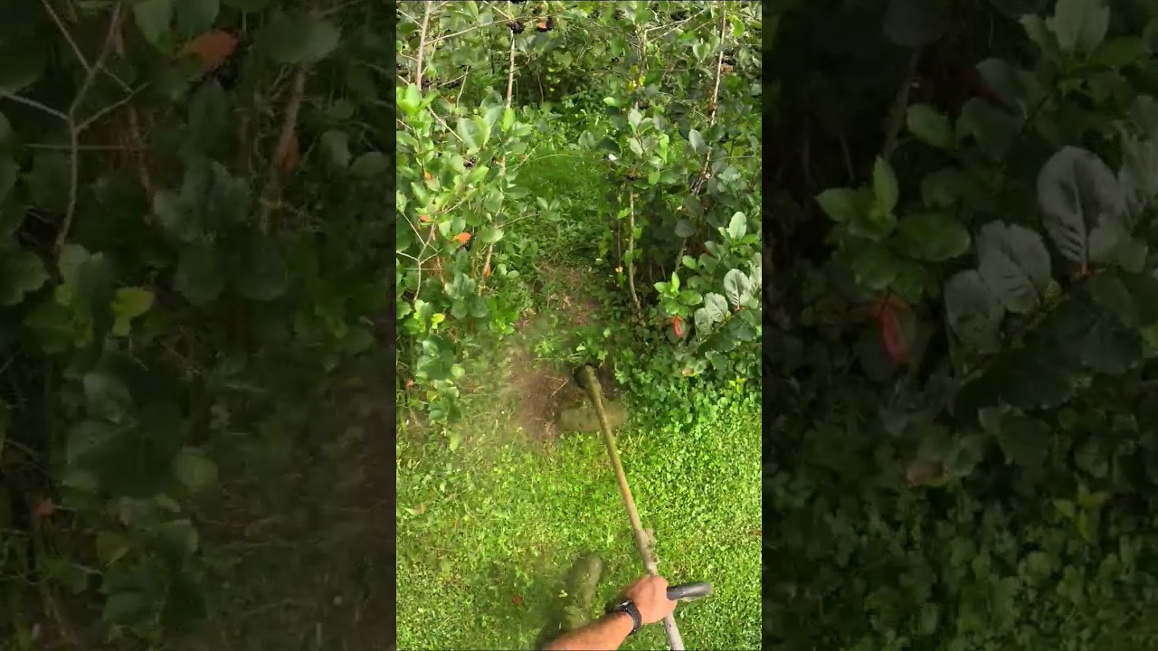 First Person POV Weed Whacking | #gopro Hero 11 | #shorts