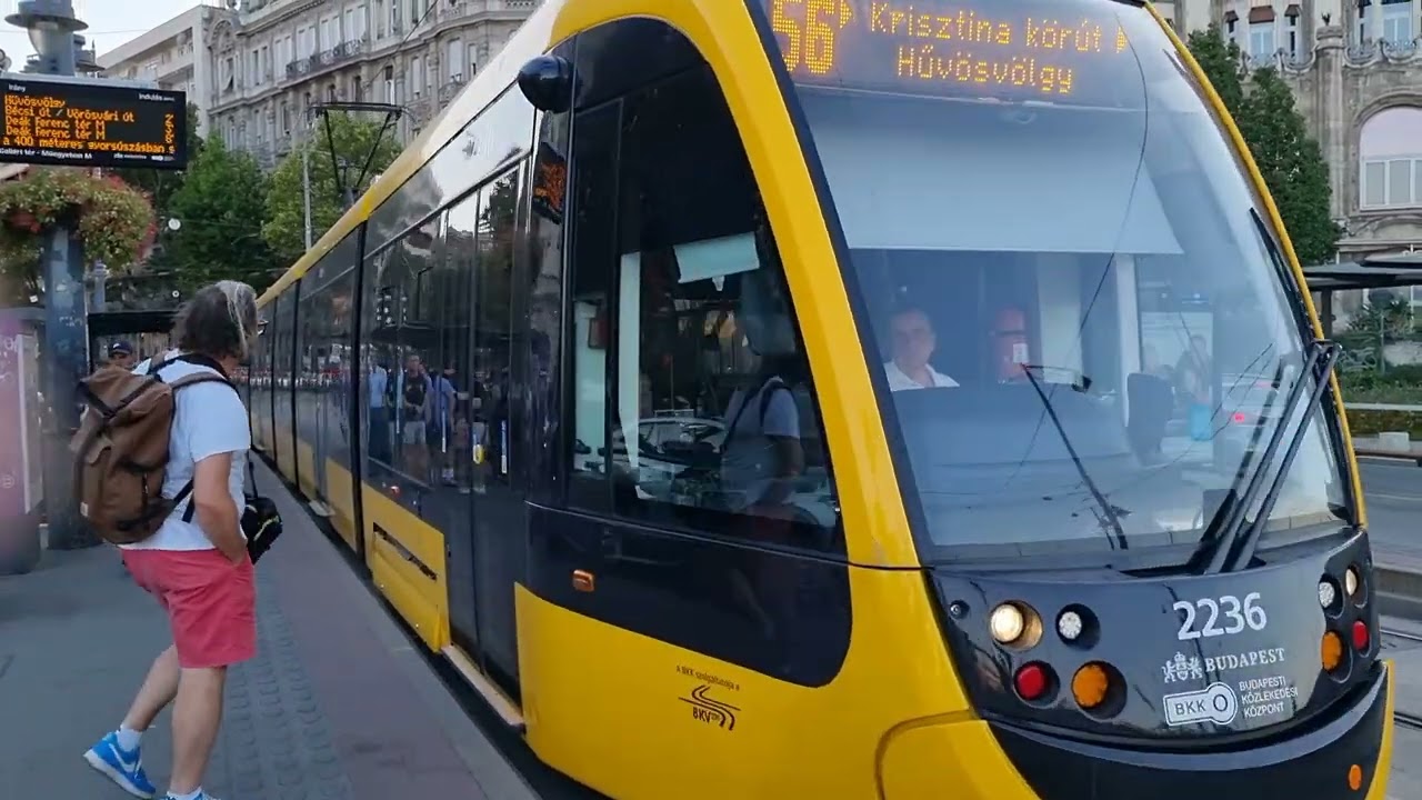 Budapest/Ungarn: Straßenbahnlinie 56 hält am Gellért-Universität-Platz (4)