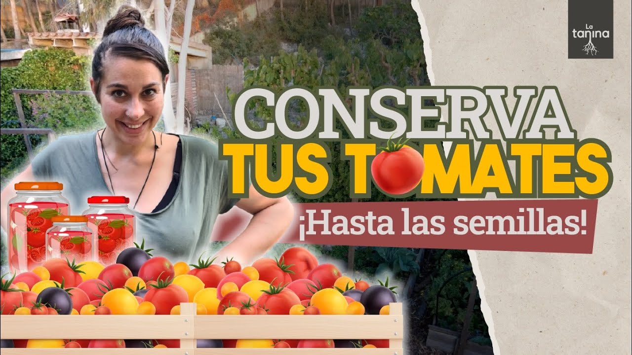 Ser AUTOSUFICIENTE con TOMATES 🍅