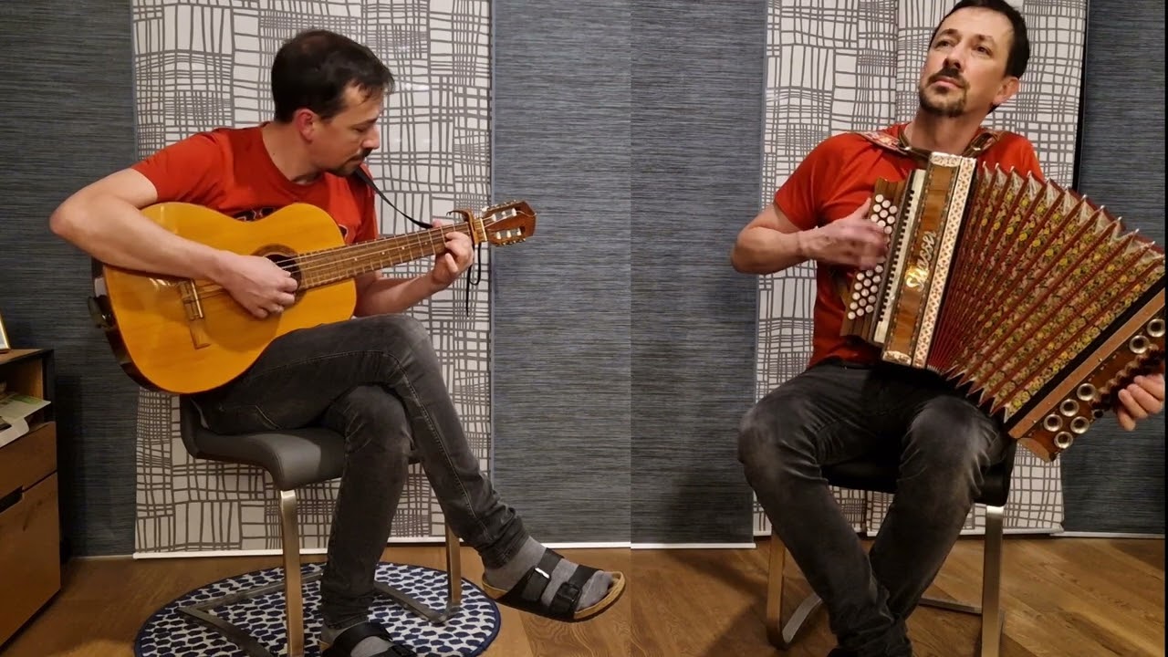 Fast alle meine Entlein - Steirische Harmonika #steirische #eigenkomposition #ziach #geige