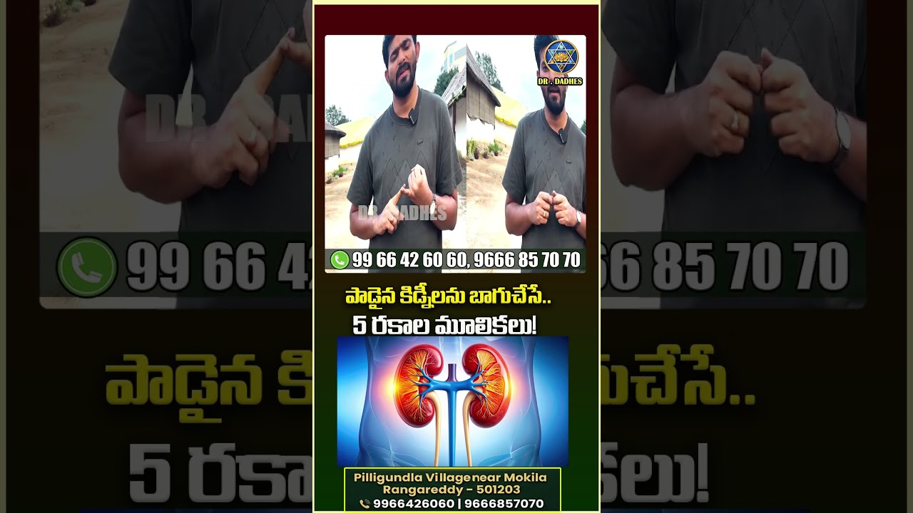 కిడ్నీలకు మేలుచేసే 5 రకాల  ఆయుర్వేద మూలికలు | Dr.Dadhe's Ayur and Nature Cure |#drdadhes #ayurveda