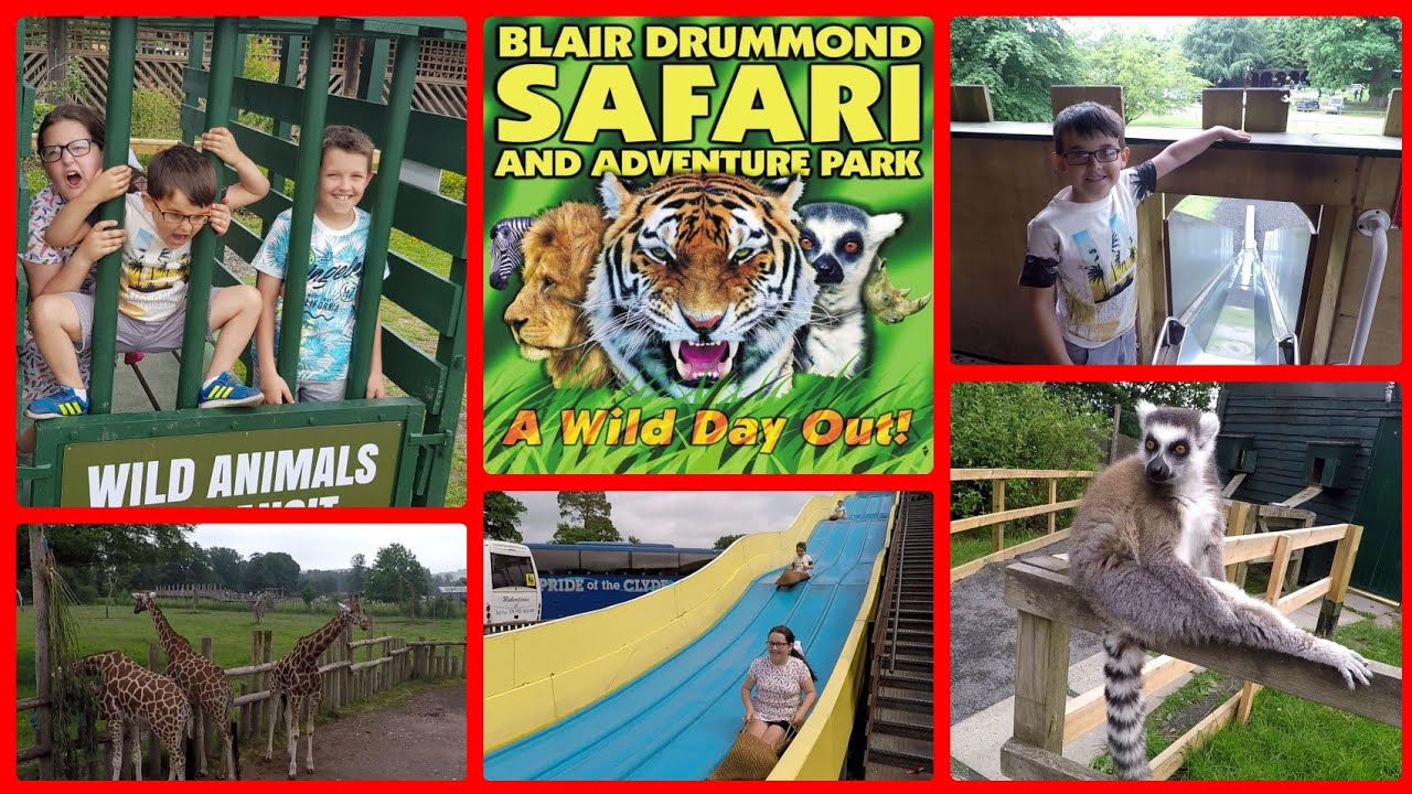 Fun Day out at Blair Drummond Safari Park